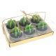 Set van 6 theelicht Cactusjes